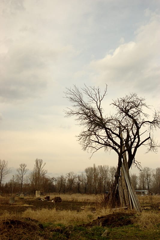 Край Искъро