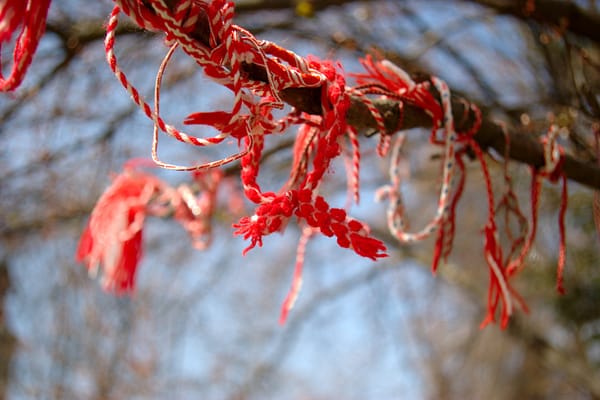 Martenitsa tree