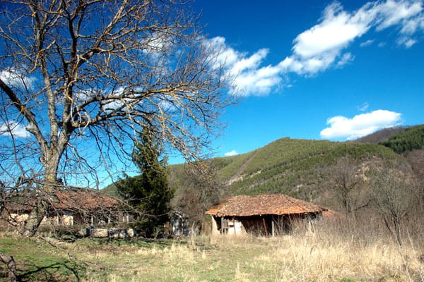Malio rid